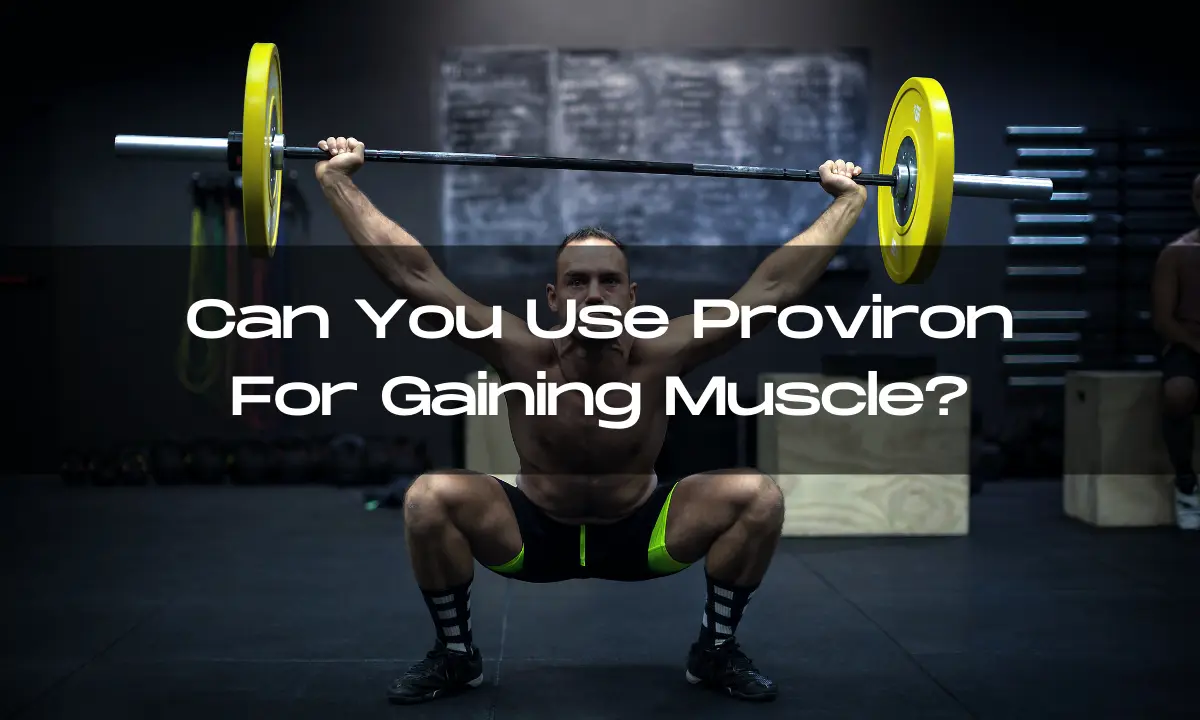 Proviron for gaining muscle