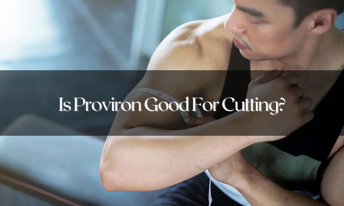 Is Proviron Good For Cutting