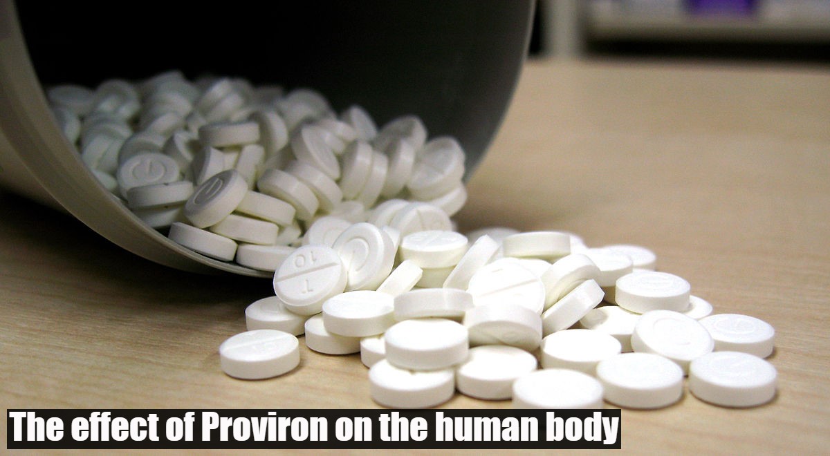 The effect of Proviron on the human body