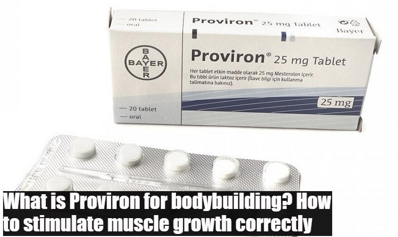 What is Proviron for bodybuilding? How to stimulate muscle growth correctly
