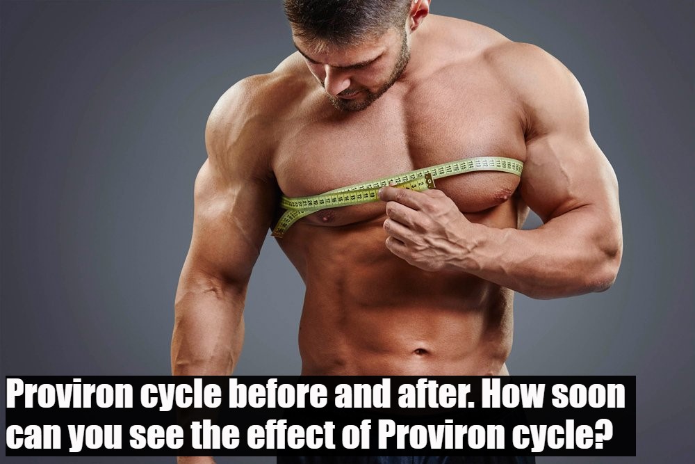 Proviron cycle before and after. How soon can you see the effect of Proviron cycle?