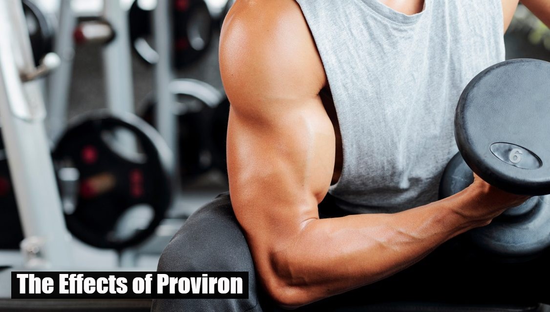 The Effects of Proviron