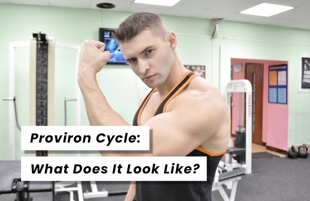 Proviron Cycle