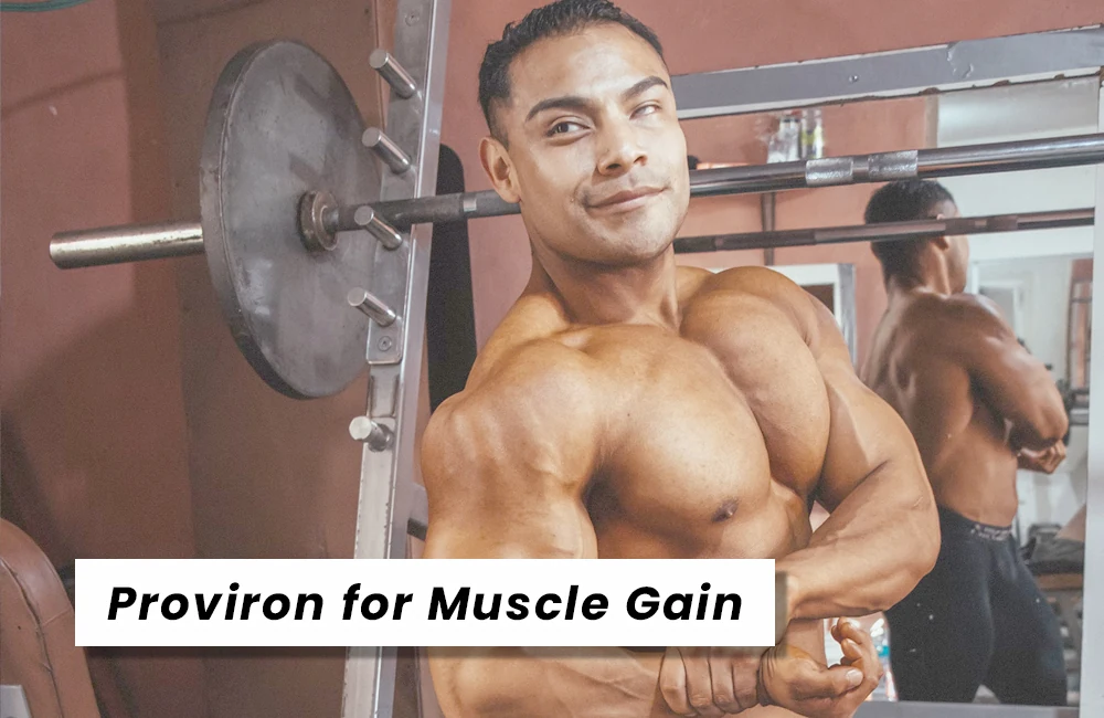 Proviron for muscle gain